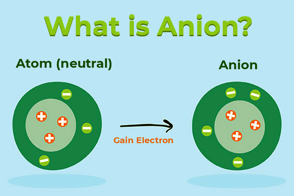 Ion mang điện tích âm (Anion)