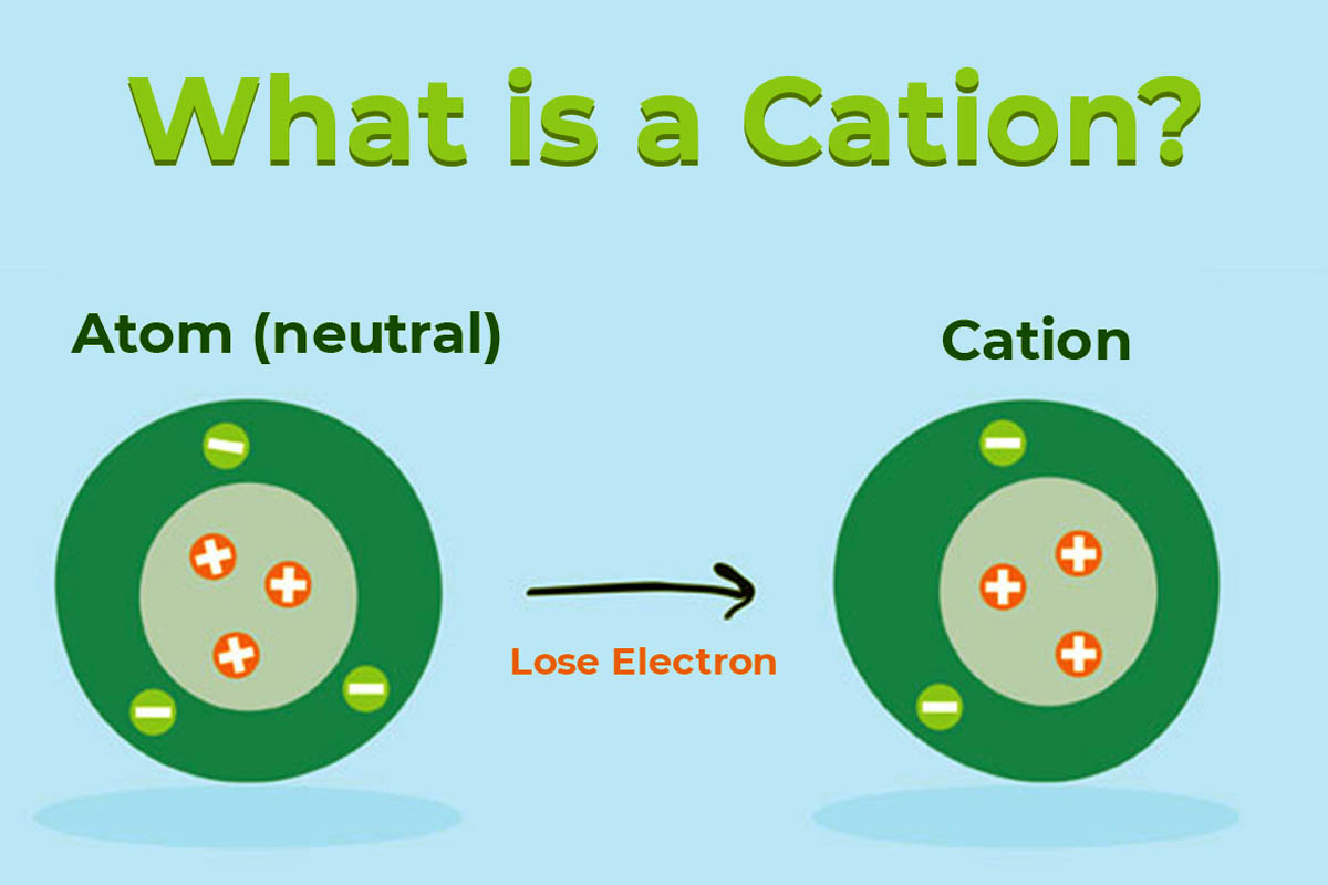 Ion mang điện tích dương (Cation)
